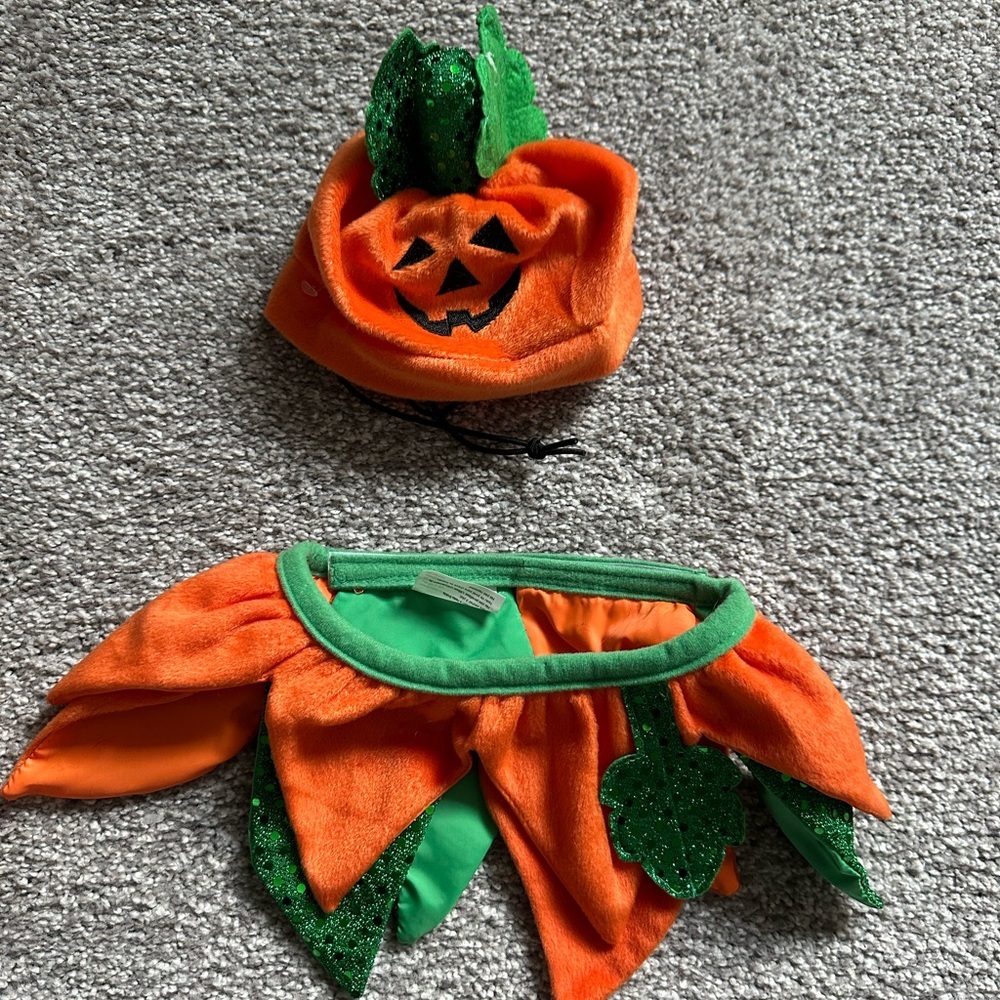 Pet Halloween costume pumpkin